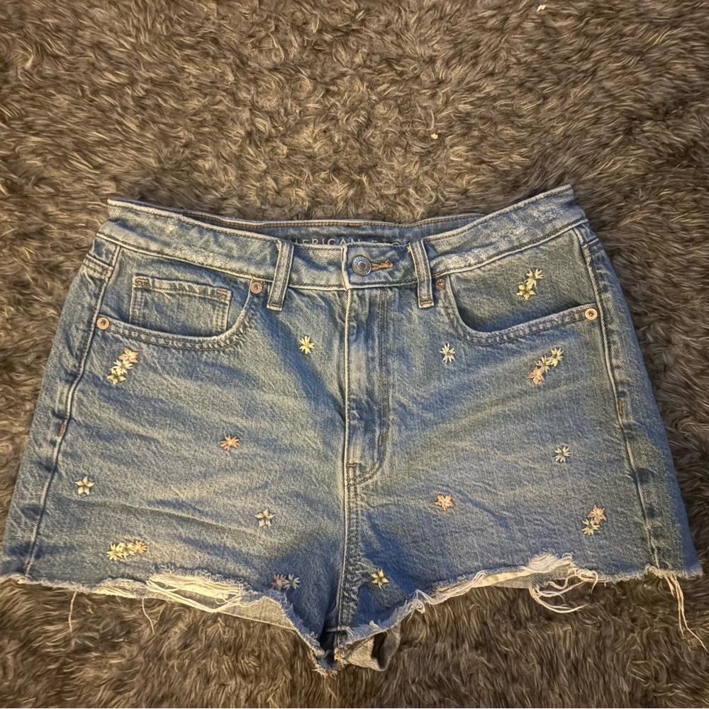 American Eagle Outfitters Light Blue Embroidered Jean Shorts